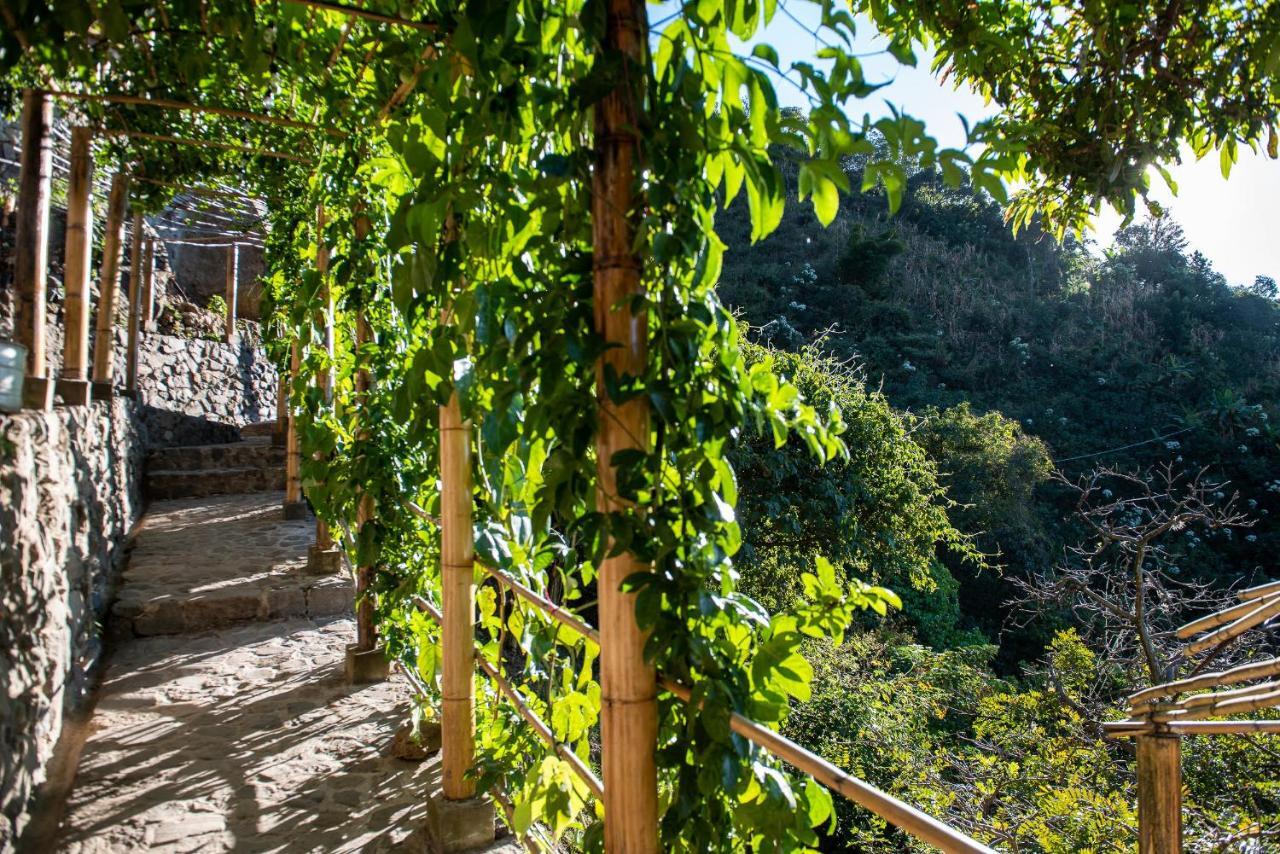 El Picnic Atitlan Hotell Tzununá Eksteriør bilde